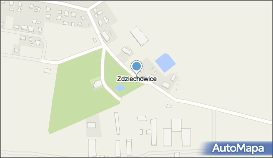 Zdziechowice (województwo wielkopolskie), Zdziechowice - Inne