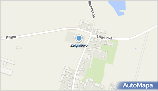 Zelgniewo, Zelgniewo - Inne