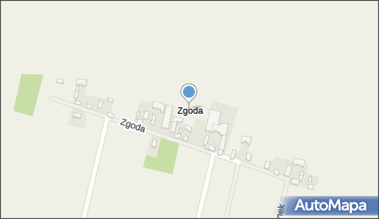 Zgoda (gmina Żychlin), Zgoda - Inne