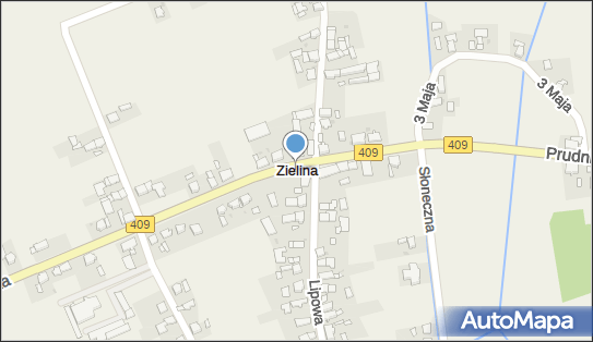 Zielina, Zielina - Inne