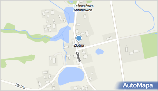 Złotna, Złotna - Inne