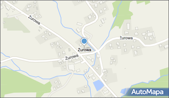 Żurowa, Żurowa - Inne