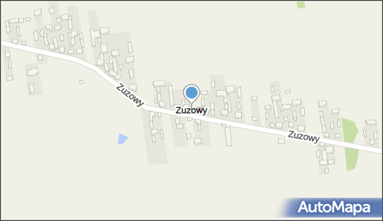 Zuzowy, Zuzowy - Inne