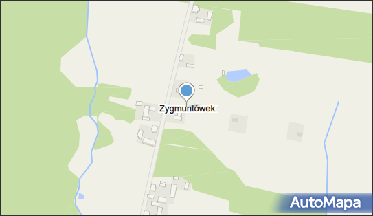 Zygmuntówek, Zygmuntówek - Inne