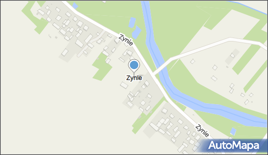 Zynie, Zynie - Inne