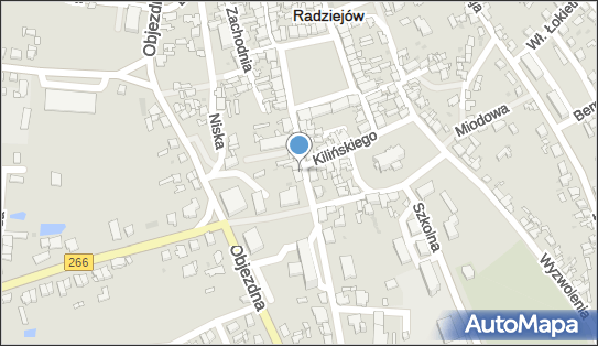 PaczkoPunkt InPost POP-RDJ6, Kościuszki 12, Radziejów 88-200, godziny otwarcia