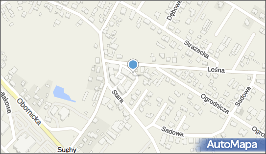 PaczkoPunkt InPost POP-SLS6, Nowy Rynek 2, Suchy Las 62-002, godziny otwarcia