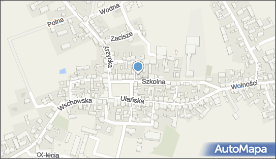 PaczkoPunkt InPost POP-SWH1, Szkolna 1, Święciechowa 64-115, godziny otwarcia