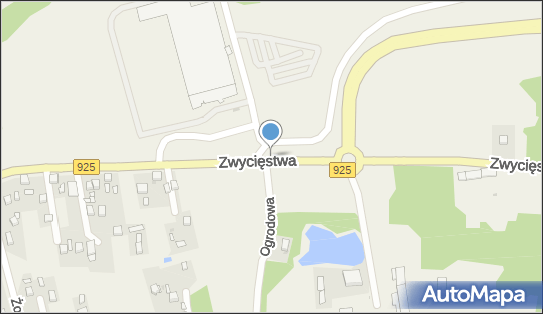 Kontrola ITD, DW 925, Zwycięstwa, Stanowice - Inspekcja Transportu Drogowego
