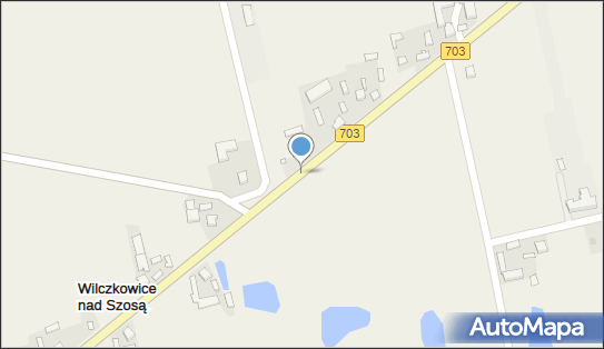 Kontrola ITD, DW 703, Wilczkowice Średnie - Inspekcja Transportu Drogowego