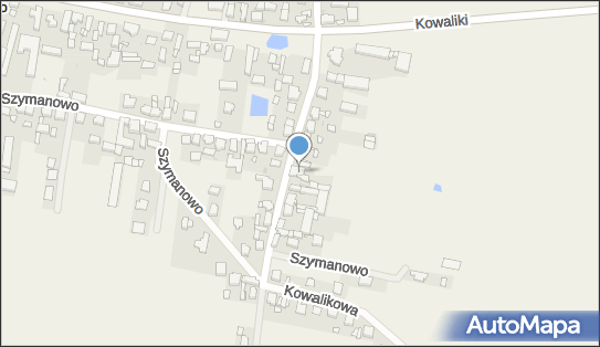 Inter Data Service - Serwis samochodowy, Szymanowo 88, Rawicz 63-900, numer telefonu