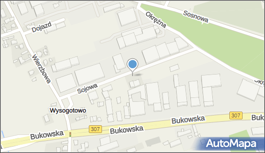 Inter Data Service - Serwis samochodowy, Sojowa 15, Wysogotowo 62-081, numer telefonu