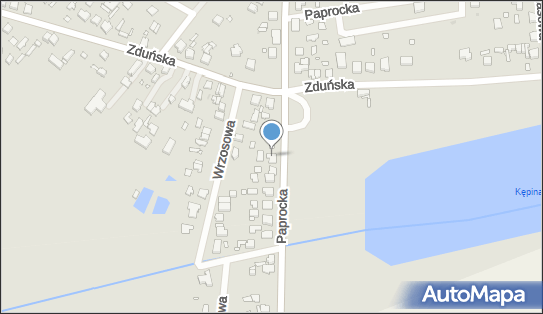 Inter Data Service - Serwis samochodowy, Paprocka 58, Zduńska Wola 98-220, numer telefonu