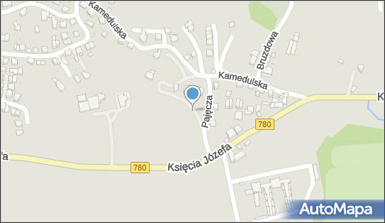 Smok nr 46, Kraków ul. Kamedulska 18, Kraków 30-252 - Kamping, CamperPark, numer telefonu