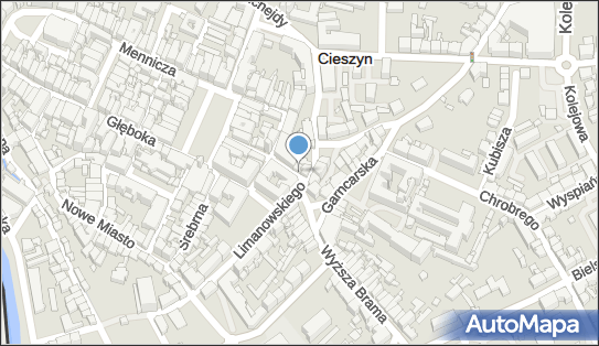5482354560, Pelic Elżbieta Kantor Wymiany Walut 