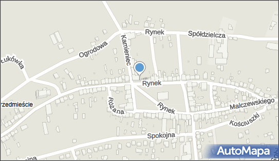 8731228348, Kantor Wymiany Walut Andrzej Lisak 