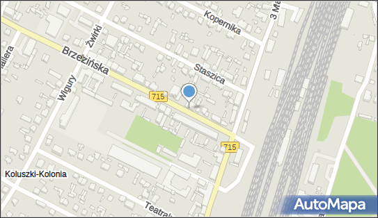 Paź Teresa Kantor Wymiany Walut, Brzezińska 11, Koluszki 95-040 - Kantor, godziny otwarcia, numer telefonu