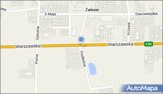 Drewniany krzyż, WarszawskaE302 13A, Zalesie 21-512 - Kapliczka, Figura Świętych, Krzyż