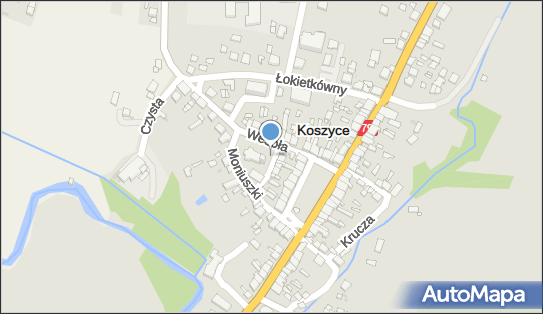 Figura Chrystusa, Plac Jana Pawła II, Koszyce - Kapliczka, Figura Świętych, Krzyż
