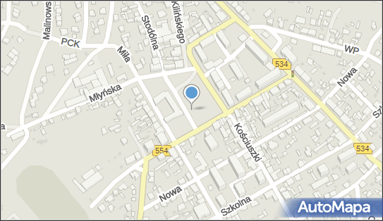 Figura Matki Boskiej, Plac Tysiąclecia554 25, Golub-Dobrzyń 87-400 - Kapliczka, Figura Świętych, Krzyż