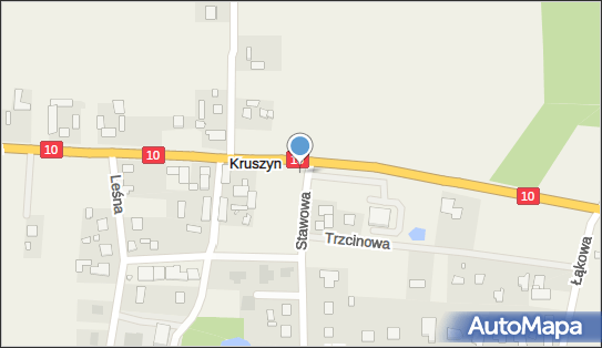 Figurka, 10, Kruszyn - Kapliczka, Figura Świętych, Krzyż