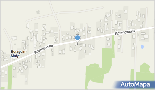 Kapliczka, Figura Świętych, Krzyż, Kosmowska 103, Borzęcin Duży 05-083 - Kapliczka, Figura Świętych, Krzyż