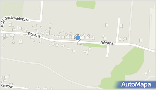 Kapliczka, Figura Świętych, Krzyż, Różana 63, Lubań 59-800 - Kapliczka, Figura Świętych, Krzyż