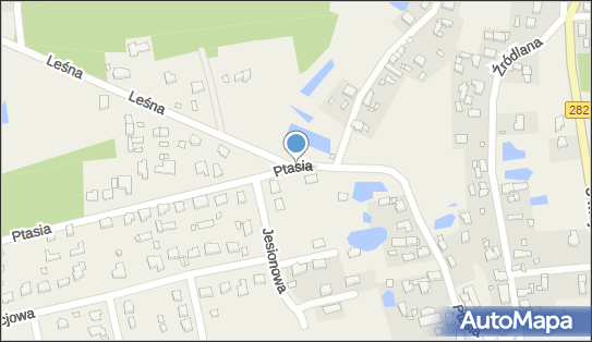 Kapliczka, Figura Świętych, Krzyż, Ptasia, Droszków 66-003 - Kapliczka, Figura Świętych, Krzyż