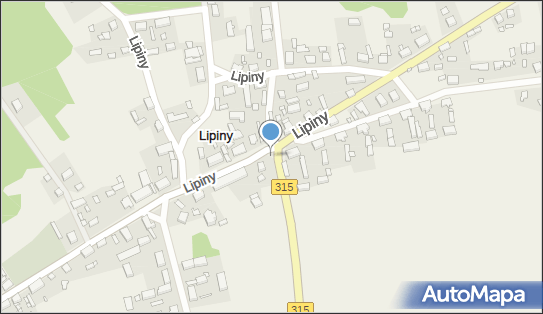 Kapliczka, Figura Świętych, Krzyż, Lipiny 33A, Lipiny 67-108 - Kapliczka, Figura Świętych, Krzyż