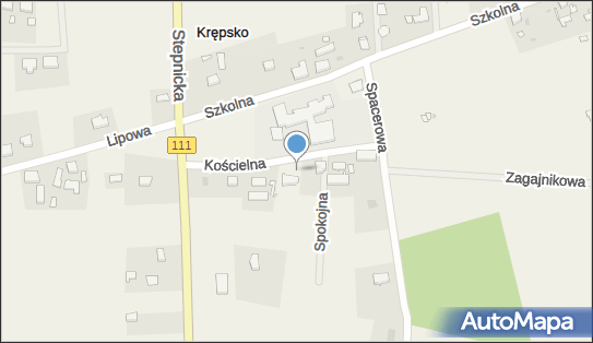 Kapliczka, Figura Świętych, Krzyż, Kościelna 4, Krępsko 72-113 - Kapliczka, Figura Świętych, Krzyż