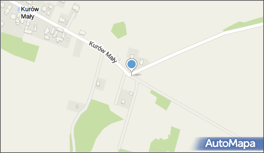 Kapliczka, Figura Świętych, Krzyż, Kurów Mały 40, Kurów Mały 67-222 - Kapliczka, Figura Świętych, Krzyż