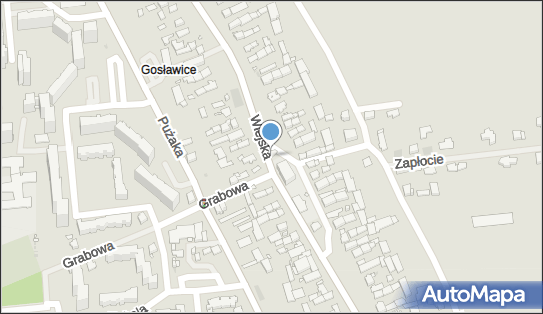 Kapliczka, Figura Świętych, Krzyż, Wiejska 66, Opole 45-241 - Kapliczka, Figura Świętych, Krzyż