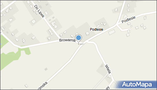 Kapliczka, Figura Świętych, Krzyż, Browarnik 59, Dankowice 43-331 - Kapliczka, Figura Świętych, Krzyż