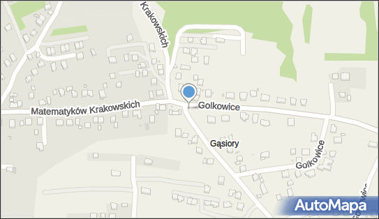 Kapliczka, Figura Świętych, Krzyż, Golkowice 316, Golkowice 30-698 - Kapliczka, Figura Świętych, Krzyż