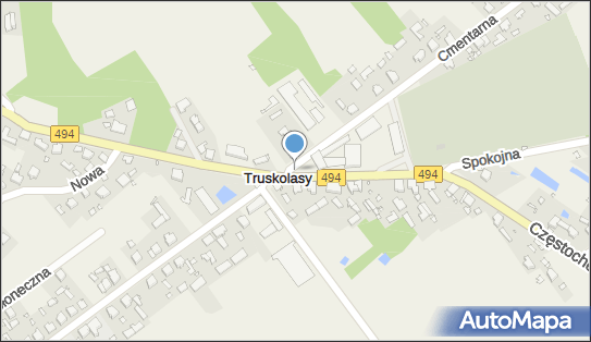 Kapliczka, Figura Świętych, Krzyż, Cmentarna 1a, Truskolasy 42-134 - Kapliczka, Figura Świętych, Krzyż