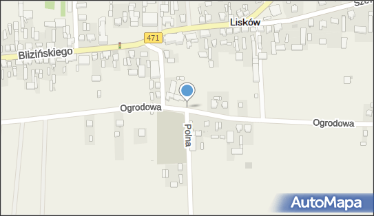 Kapliczka, Figura Świętych, Krzyż, Ogrodowa 5, Lisków 62-850 - Kapliczka, Figura Świętych, Krzyż