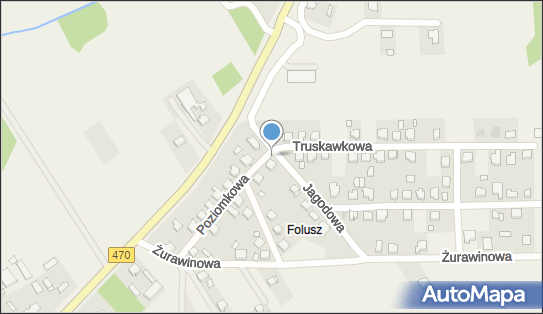 Kapliczka, Figura Świętych, Krzyż, Poziomkowa 2, Cisew 62-700 - Kapliczka, Figura Świętych, Krzyż