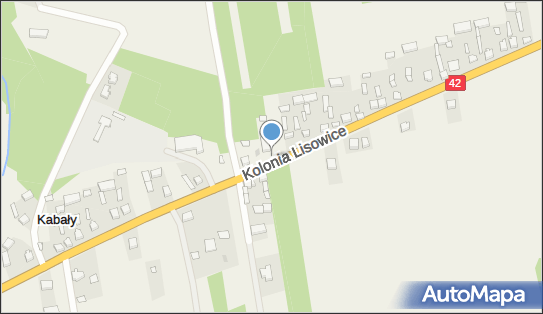 Kapliczka, Figura Świętych, Krzyż, Kolonia Lisowice 80A 98-355 - Kapliczka, Figura Świętych, Krzyż