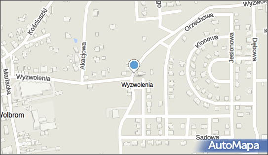 Kapliczka, Figura Świętych, Krzyż, Wyzwolenia 14, Wolbrom 32-340 - Kapliczka, Figura Świętych, Krzyż