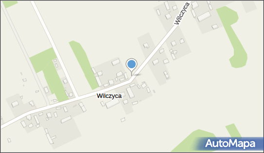Kapliczka, Figura Świętych, Krzyż, Wilczyca 21, Wilczyca 99-205 - Kapliczka, Figura Świętych, Krzyż