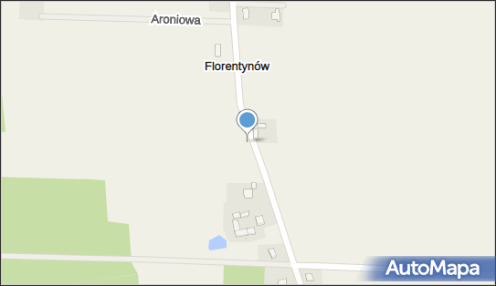 Kapliczka, Figura Świętych, Krzyż, Florentynów 15, Florentynów 95-045 - Kapliczka, Figura Świętych, Krzyż