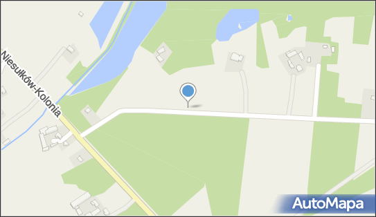 Kapliczka, Figura Świętych, Krzyż, Niesułków-Kolonia 95-010 - Kapliczka, Figura Świętych, Krzyż