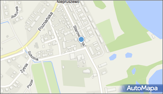 Kapliczka, Figura Świętych, Krzyż, Szkolna 2, Niepruszewo 64-320 - Kapliczka, Figura Świętych, Krzyż