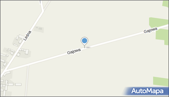 Kapliczka, Figura Świętych, Krzyż, Gajowa, Rąbiń 64-010 - Kapliczka, Figura Świętych, Krzyż