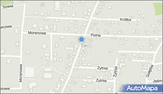 Kapliczka, Figura Świętych, Krzyż, Puszczykowo 62-040 - Kapliczka, Figura Świętych, Krzyż