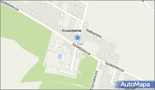 Kapliczka, Figura Świętych, Krzyż, Spółdzielcza 8, Kruszewnia 62-020 - Kapliczka, Figura Świętych, Krzyż