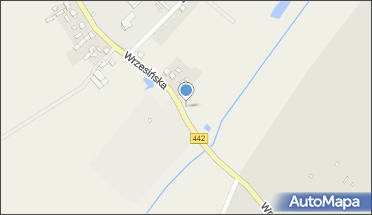 Kapliczka, Figura Świętych, Krzyż, Wrzesińska 106, Borzykowo 62-307 - Kapliczka, Figura Świętych, Krzyż