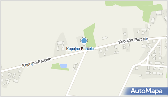 Kapliczka, Figura Świętych, Krzyż, Kopojno-Parcele, Kopojno 62-410 - Kapliczka, Figura Świętych, Krzyż