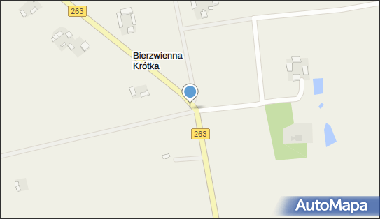 Kapliczka, Figura Świętych, Krzyż, Bierzwienna Krótka 62-650 - Kapliczka, Figura Świętych, Krzyż