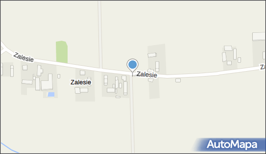 Kapliczka, Figura Świętych, Krzyż, Zalesie 12, Zalesie 96-521 - Kapliczka, Figura Świętych, Krzyż